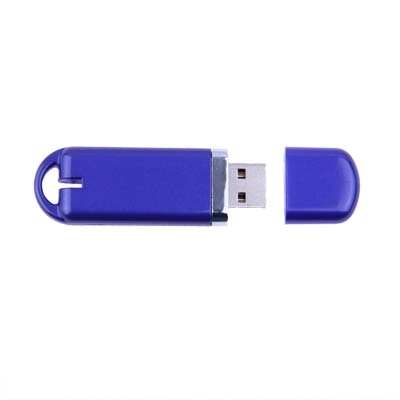 4GB USB 2.0 Flash-schijf (blauw)