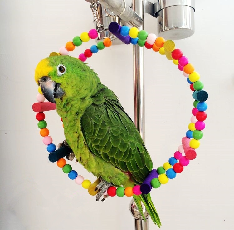 Papegaai vogel boog klimmen Swing Wheel ring speelgoed grootte: diameter 22cm