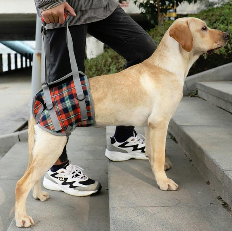 Pet Leg Straps Disabled & Injured Elderly Dog Auxiliary Belt Size: M Style:Hind Leg(Orange)