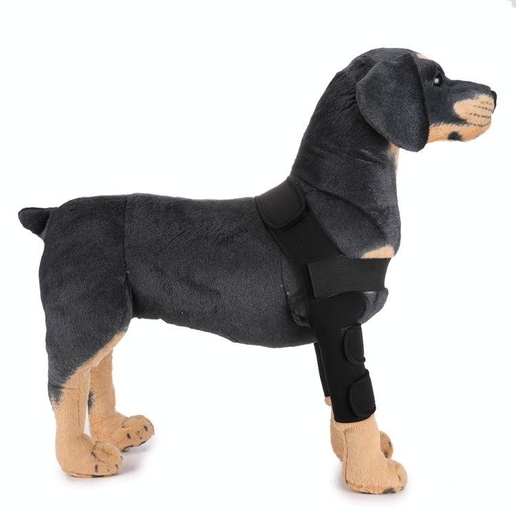 Pet Dog Leg Knee Guard Surgery Injury Protective Cover Size: M(Classic Model (Black) )