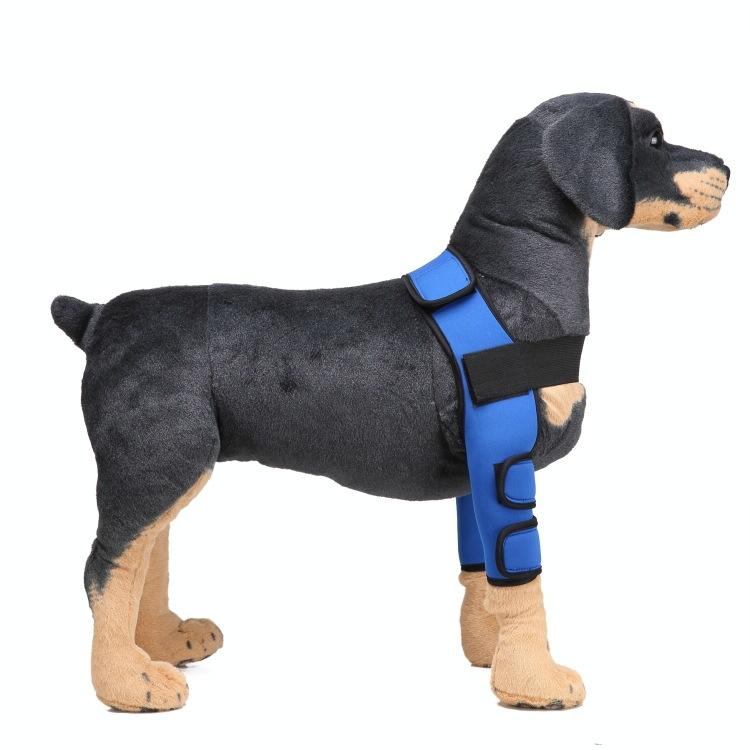 Pet Dog Leg Knee Guard Surgery Injury Protective Cover Size: L(Classic Model (Blue))