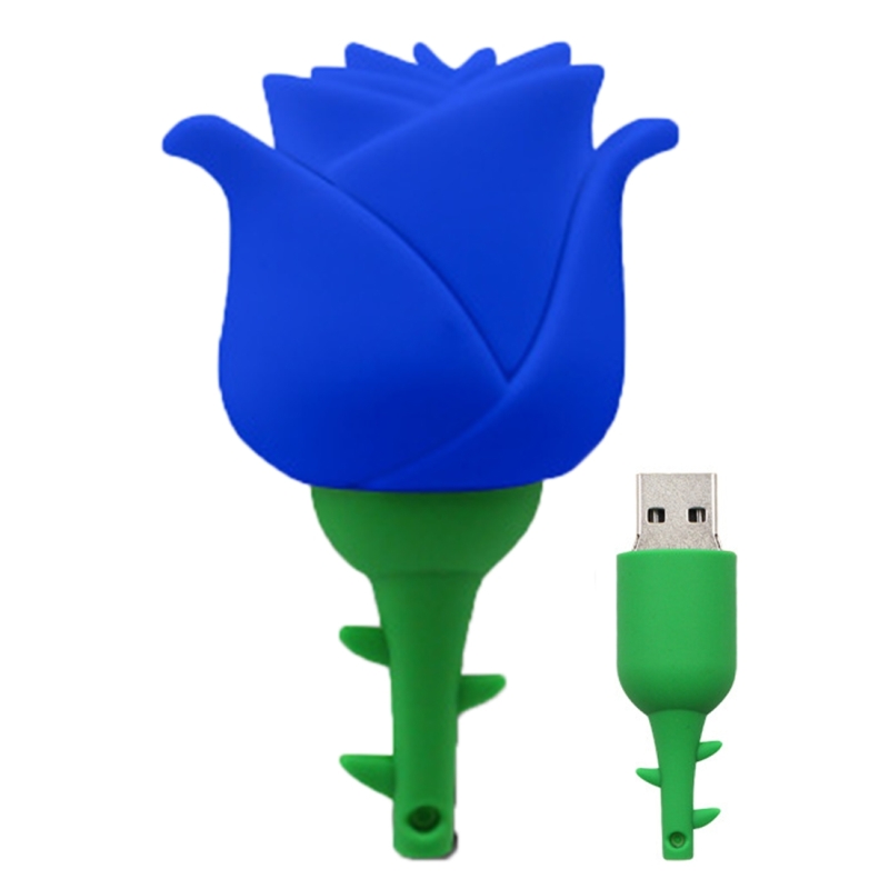 MicroDrive 64GB USB 2 0 Creative Rose U schijf (blauw)